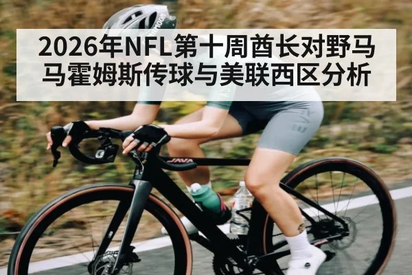 2026年NFL第十周酋长对野马 马霍姆斯传球与美联西区分析 - PG